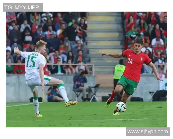 爱尔兰现役足球球星的崛起与挑战探索球队未来发展潜力 爱尔兰现役足球球星的崛起与挑战探索球队未来发展潜力