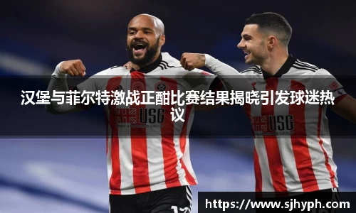汉堡与菲尔特激战正酣比赛结果揭晓引发球迷热议