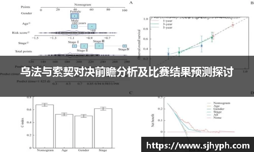 乌法与索契对决前瞻分析及比赛结果预测探讨